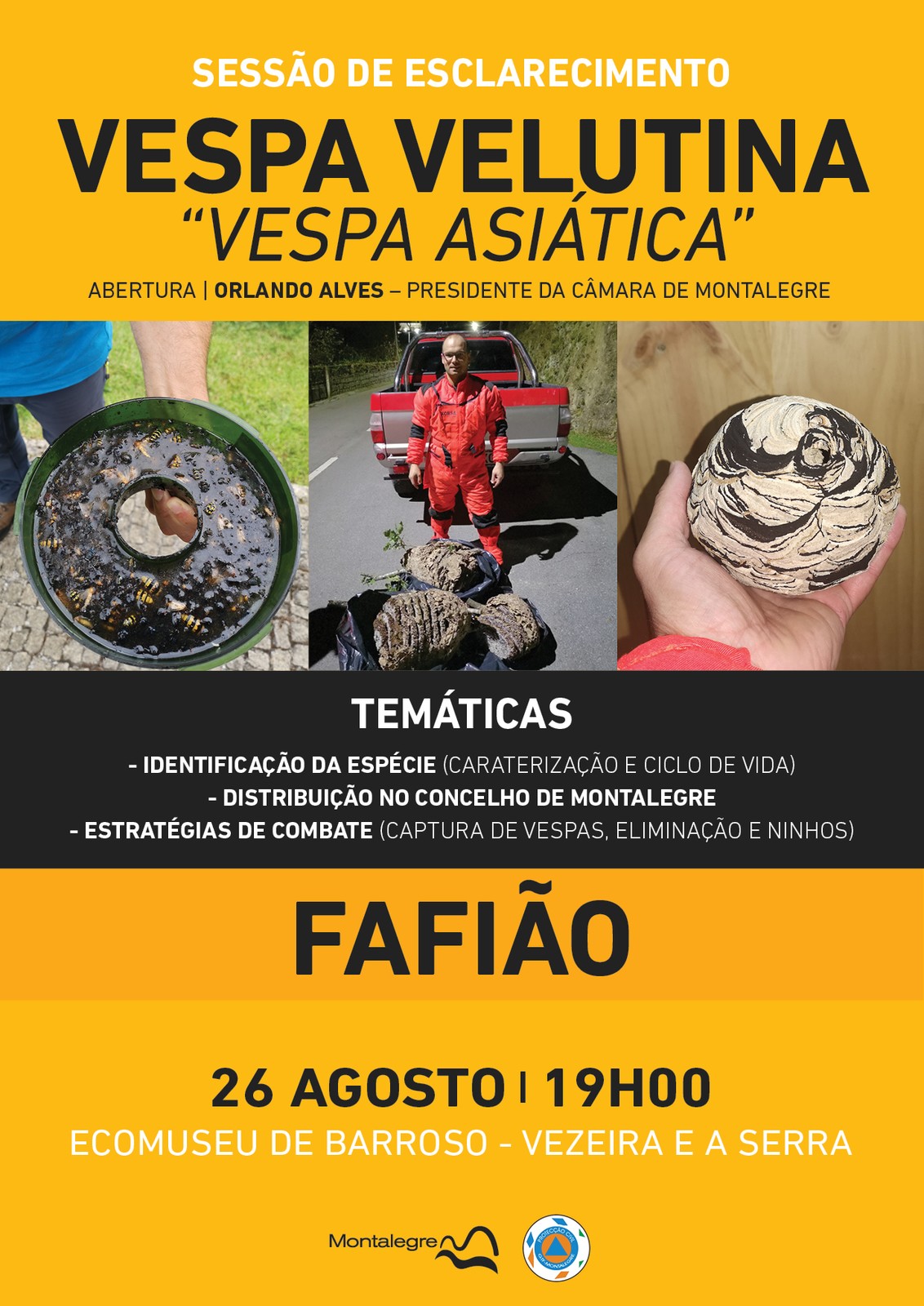 Fafiao   vespa asiatica  sessao de esclarecimento   dia 26 