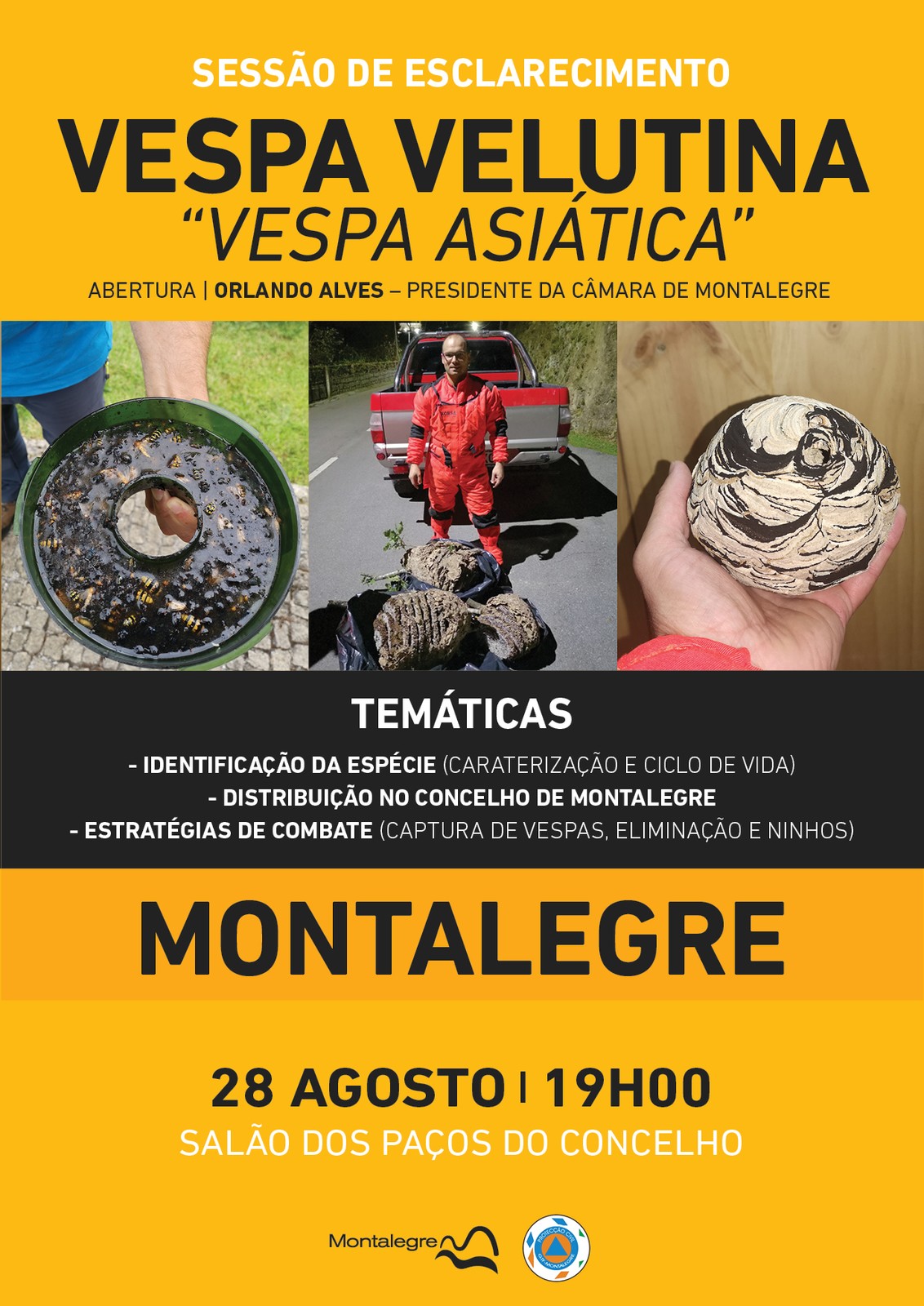 Montalegre   vespa asiatica  sessao de esclarecimento   dia 28 
