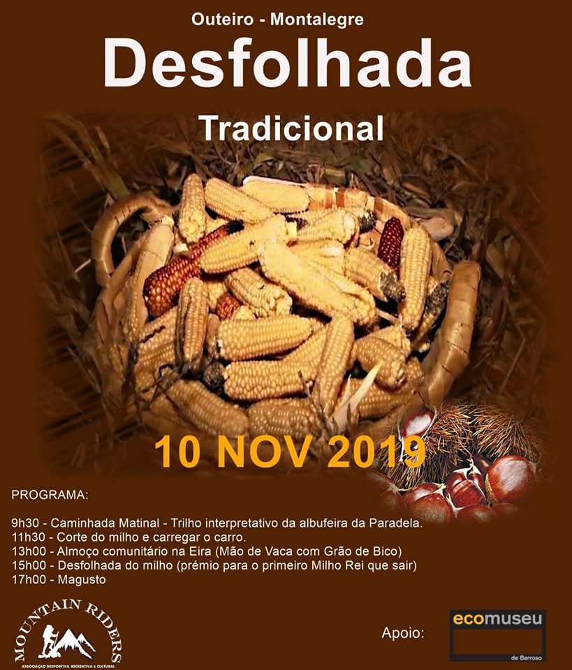 Outeiro   desfolhada  10 novembro 