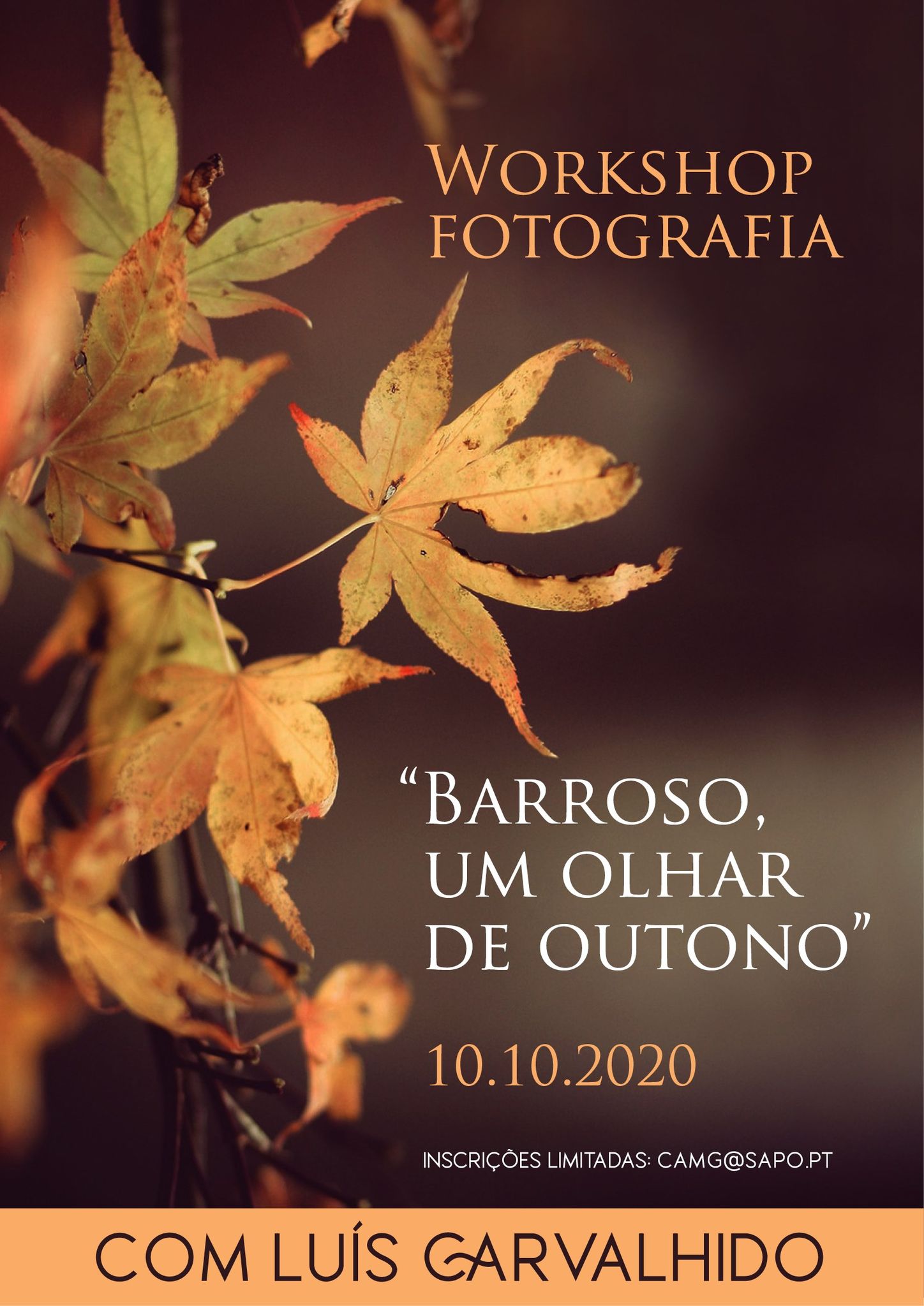 Montalegre   workshop   barroso  um olhar de outono