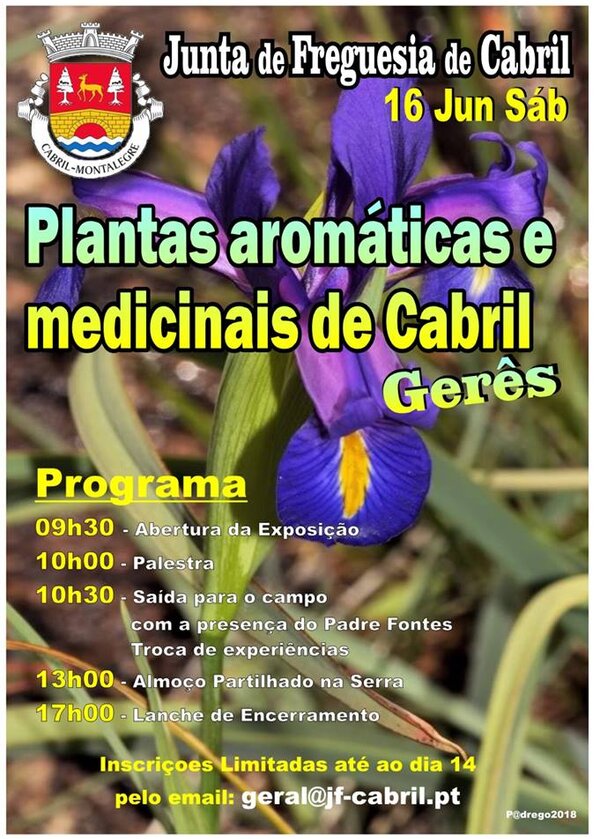 Cabril plantas aromaticas e medicinais 1 600 839