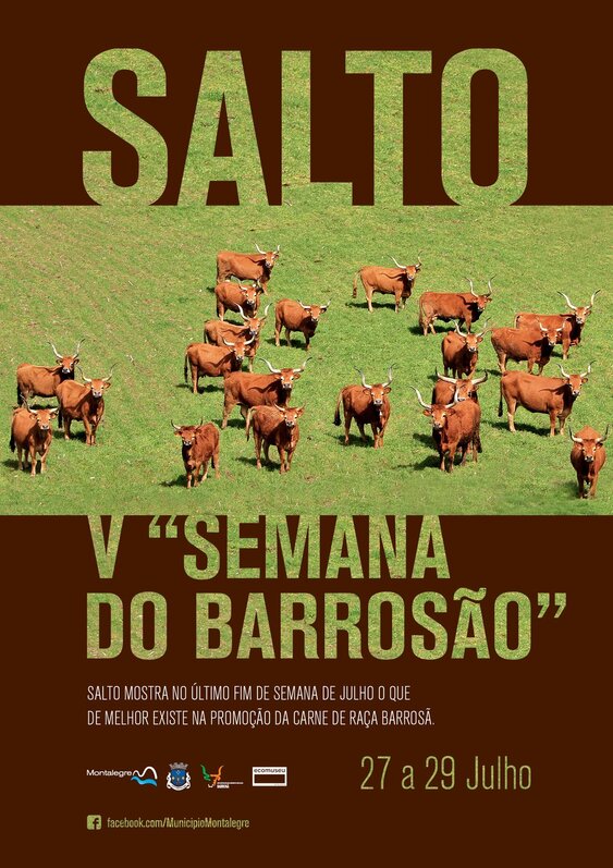 v_semana_do_barrosao__salto___27_a_29_julho_2018__cartaz_ii