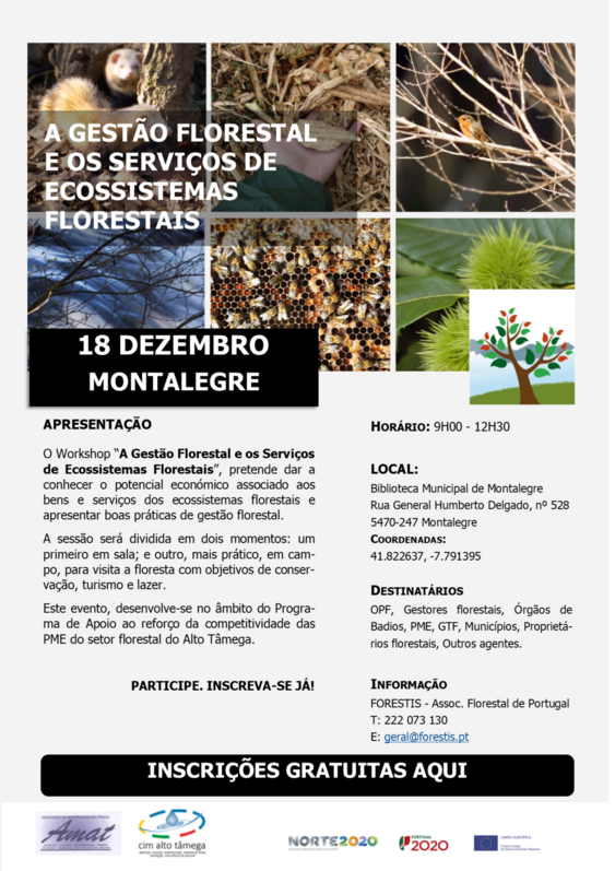 ws_servicosecossistemasflorestais_18dez_montalegre