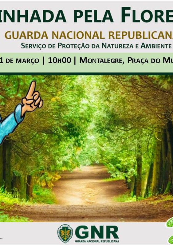 montalegre___caminhada_pela_floresta_2019