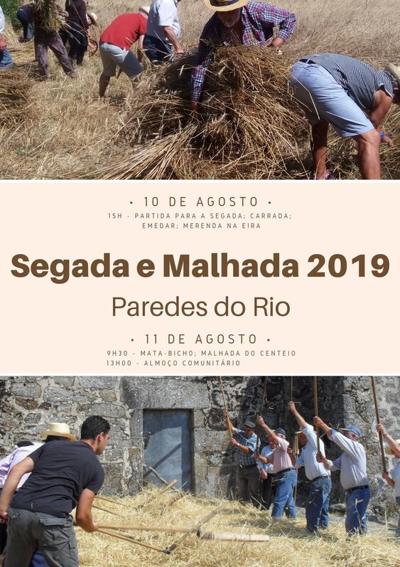 paredes_do_rio___segada_e_malhada_2019__10_e_11_agosto_