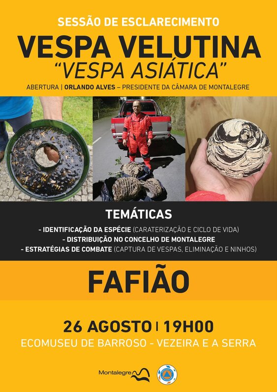 fafiao___vespa_asiatica__sessao_de_esclarecimento___dia_26_