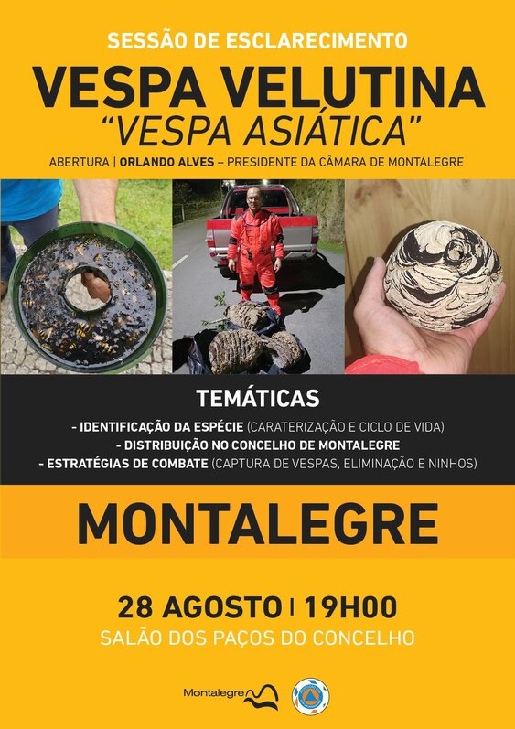 montalegre___vespa_asiatica__sessao_de_esclarecimento___dia_28_