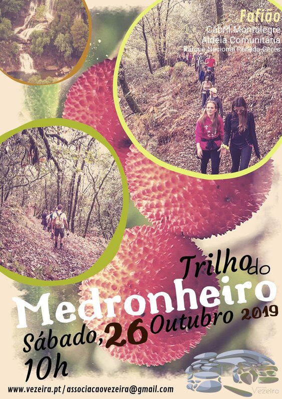 fafiao___ix_trilho_do_medronheiro
