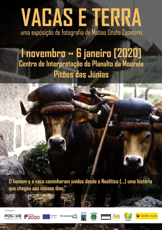 cartaz_vacas_e_terra