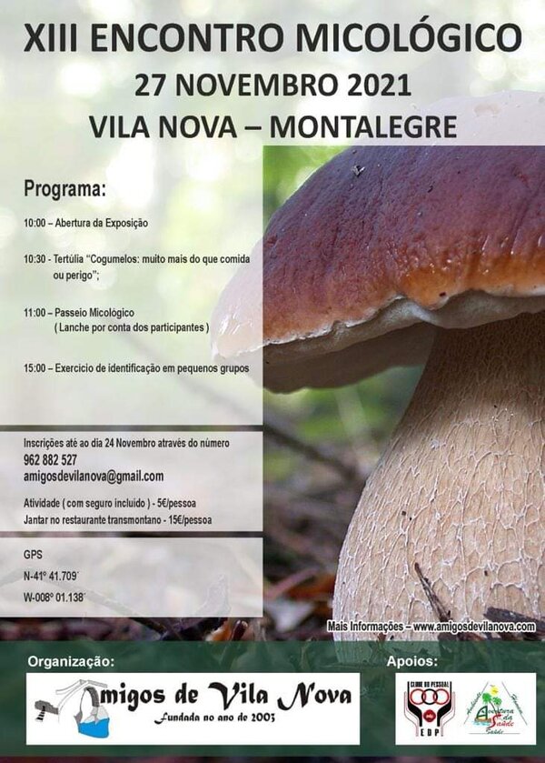 Vila nova xiii encontro micologico 27 novembro 1 600 839