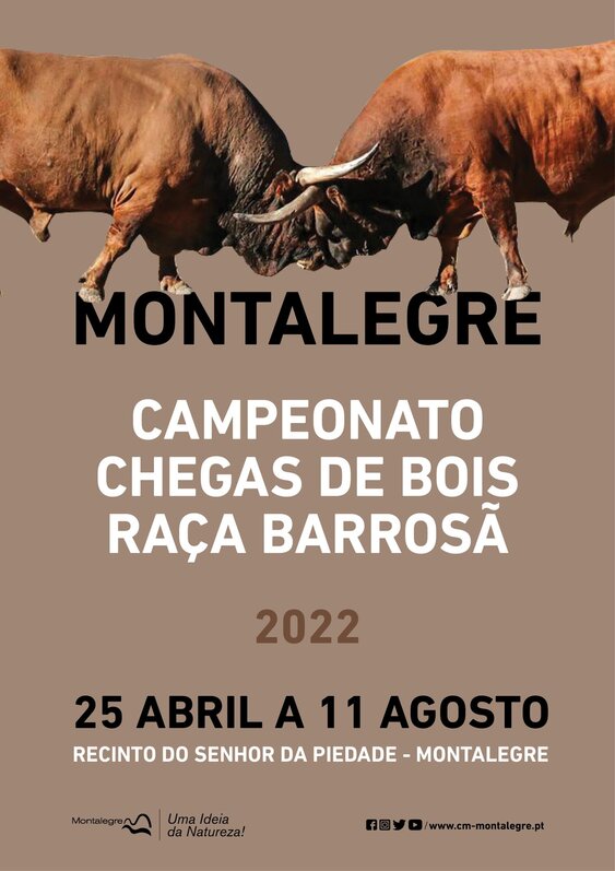 montalegre___campeonato_de_chegas_de_bois_2022__cartaz_