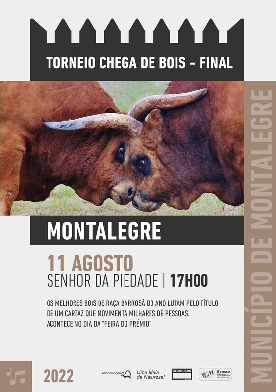 montalegre___torneio_chega_de_bois__11_agosto_2022_