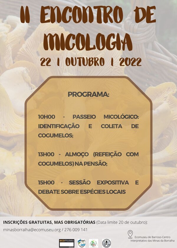 Borralha ii encontro de micologia 22 outubro 2022 1 600 839