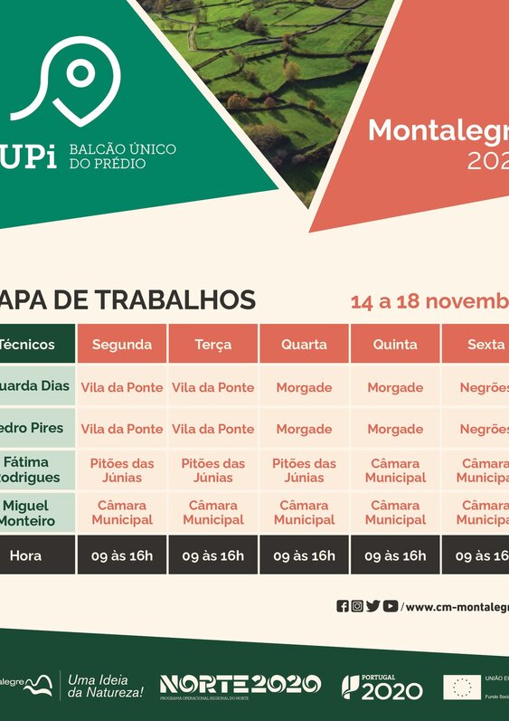 bupi_14_18_novembro
