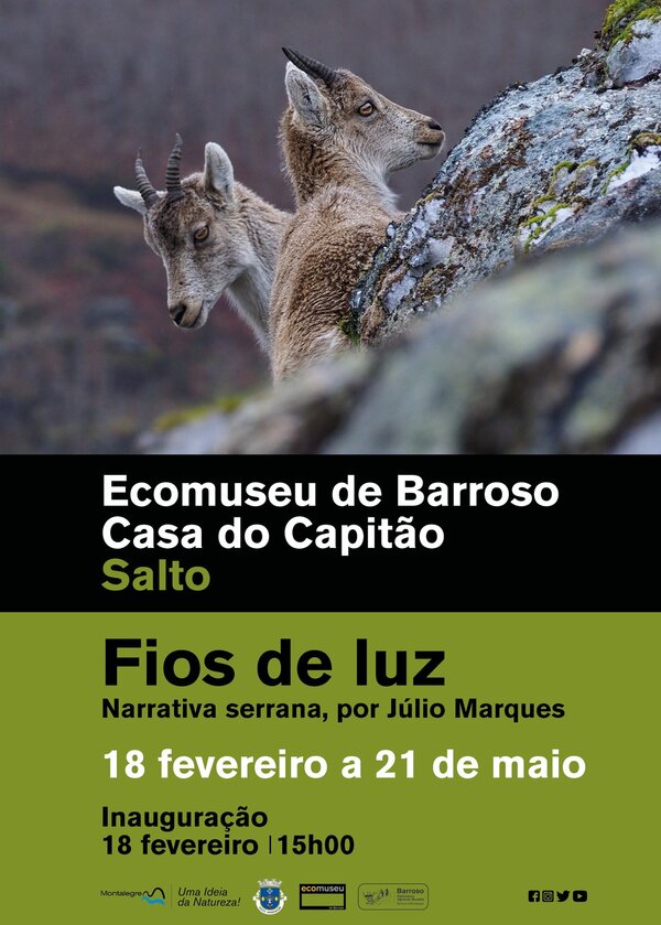 Fios de luz cartaz 1 600 839