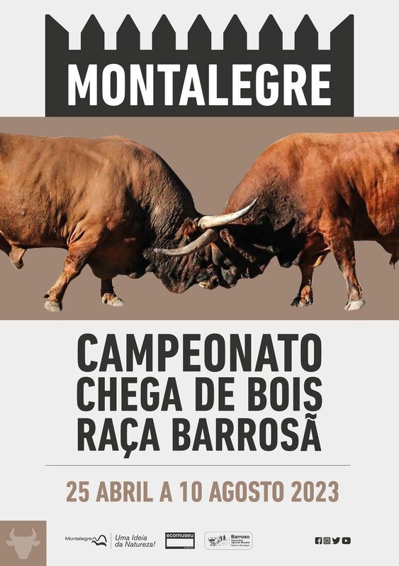 montalegre___torneio_de_chegas_de_bois_de_raca_barrosa_2023__cartaz_