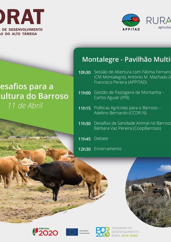 programa_ruralon_montalegre_11abril