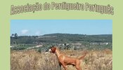 montalegre___xiv_encontro_associacao_do_perdigueiro_portugues__cartaz_