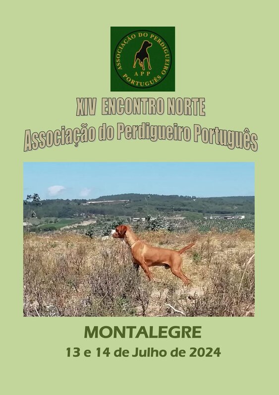 montalegre___xiv_encontro_associacao_do_perdigueiro_portugues__cartaz_