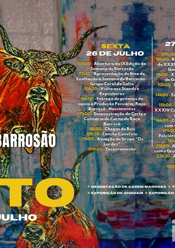 salto___ix_semana_do_barrosao__26_a_28_julho____programa
