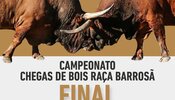 chega_de_bois_final