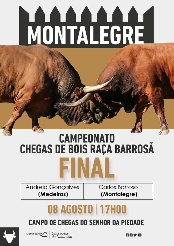 chega_de_bois_final