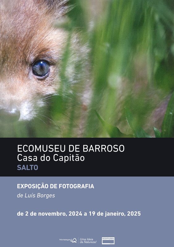 cartaz_luis_salto