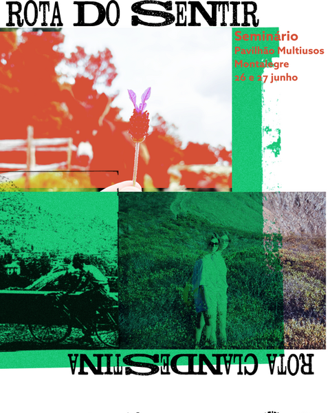 cartaz_rota_do_sentir