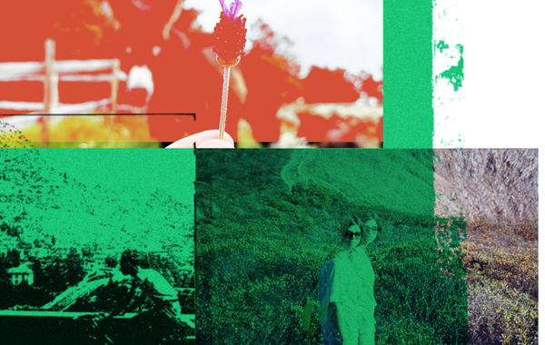 cartaz_rota_do_sentir