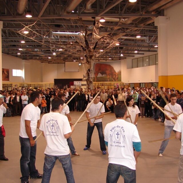 Parque de exposições - Área de exposições