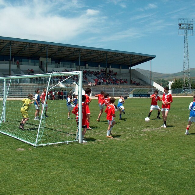 Festa benfica 