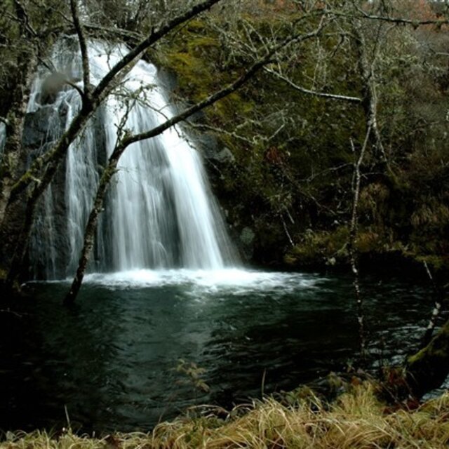 Cascata de firvidas