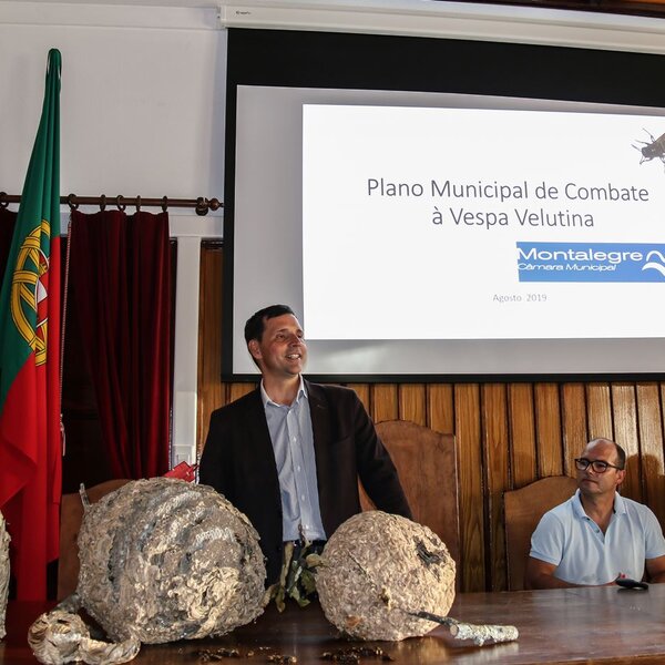 montalegre__palestra___vespa_asiatica___2_