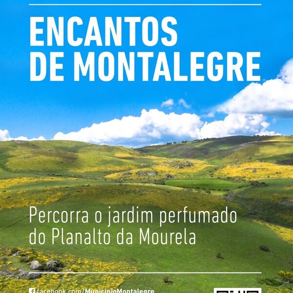 encantos__planalto_da_mourela__cartaz___oficial