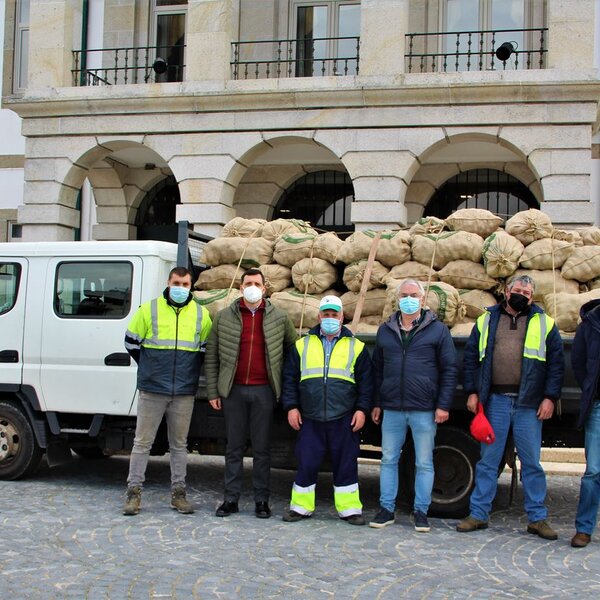 montalegre___municipio_oferece_batata_ao_banco_alimentar__3_