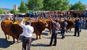 montalegre__feira_do_premio_2022___6_