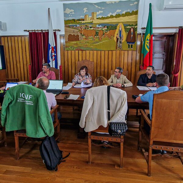 pom_2024__reuniao___2_