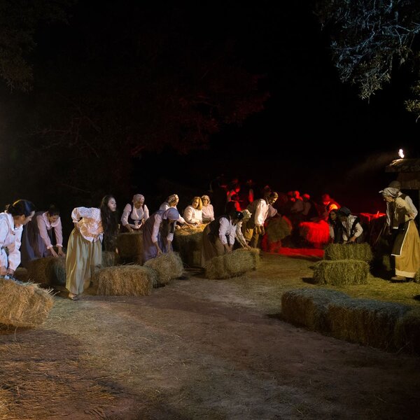 festa_da_misarela_2024__84_