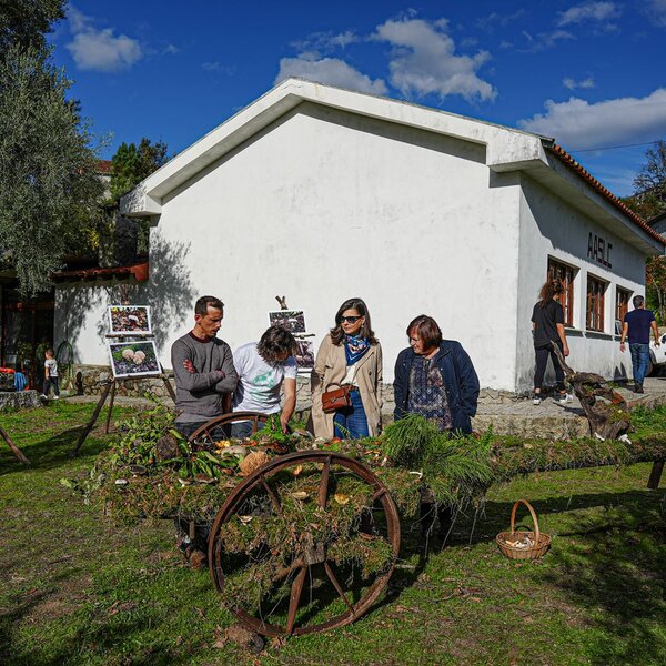 sao_lourenco__cabril__vi_encontro_micologico__6_