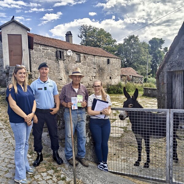 radar_social___imagem_gnr