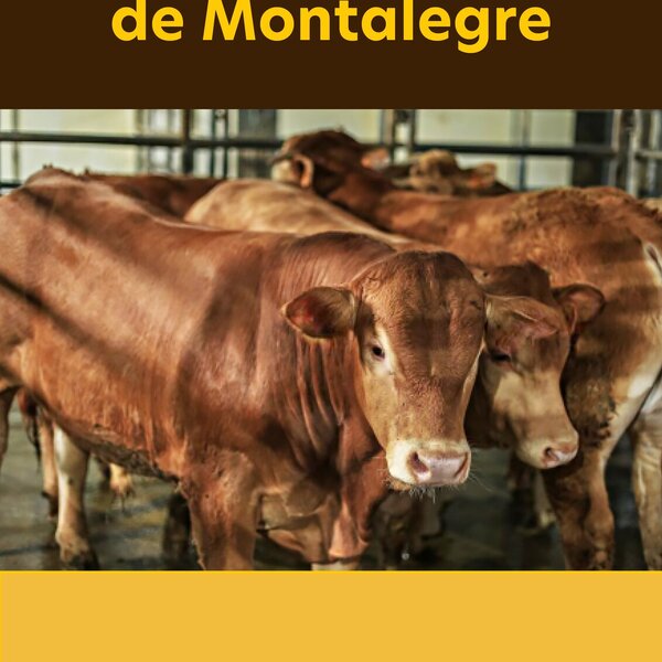 montalegre___mercado_de_gado__informacoes__facebook