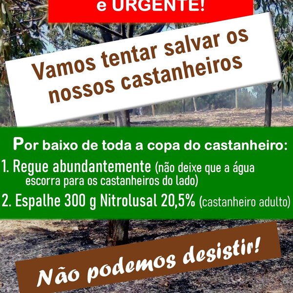 aviso_refcast_incendios