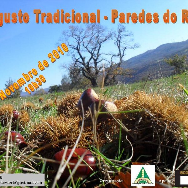 fcae9ec6bd1288806981
