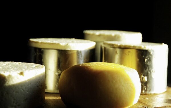 queijo_1_1024_750