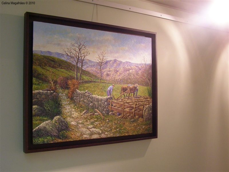 &quot;Identidade Barrosã&quot; em exposição