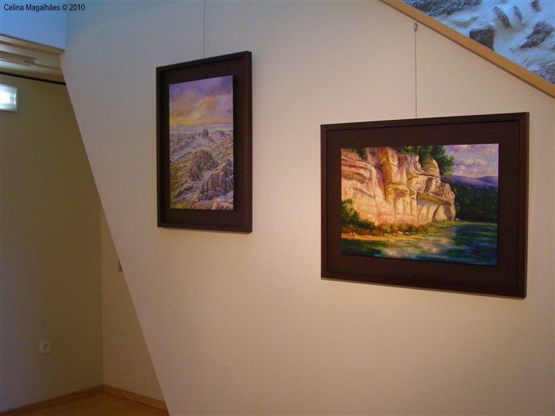 &quot;Identidade Barrosã&quot; em exposição