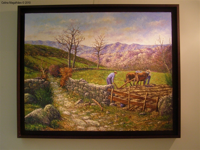 &quot;Identidade Barrosã&quot; em exposição