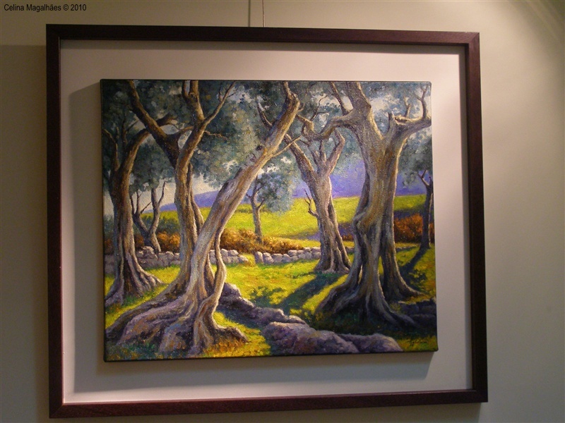 &quot;Identidade Barrosã&quot; em exposição