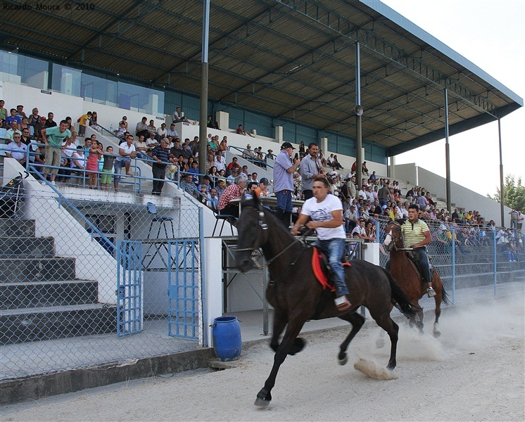 Corrida de Cavalos 2010