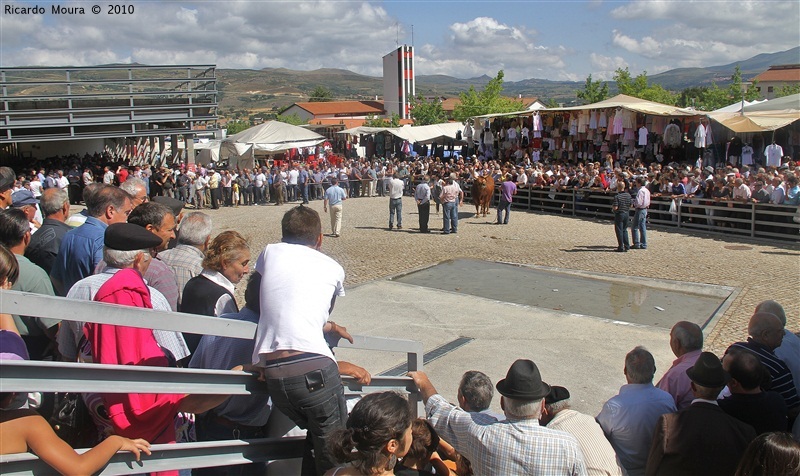 Feira do Prémio 2010